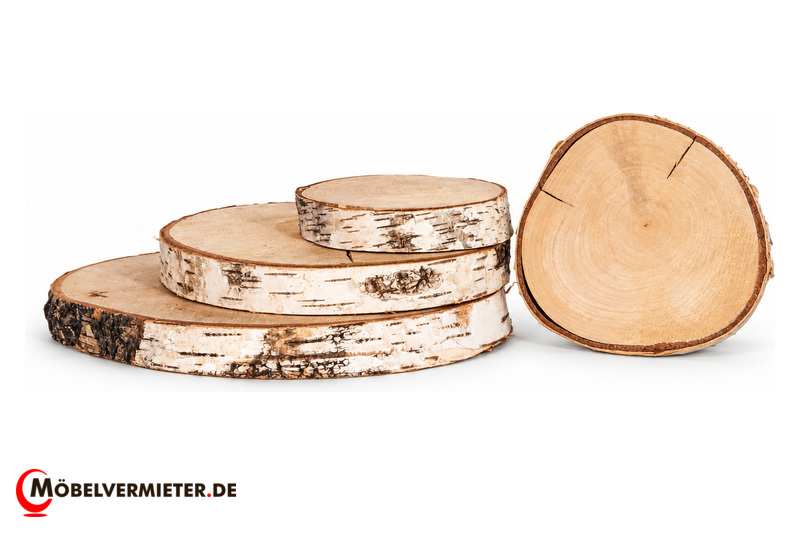 Holzscheiben Birke, 30cm